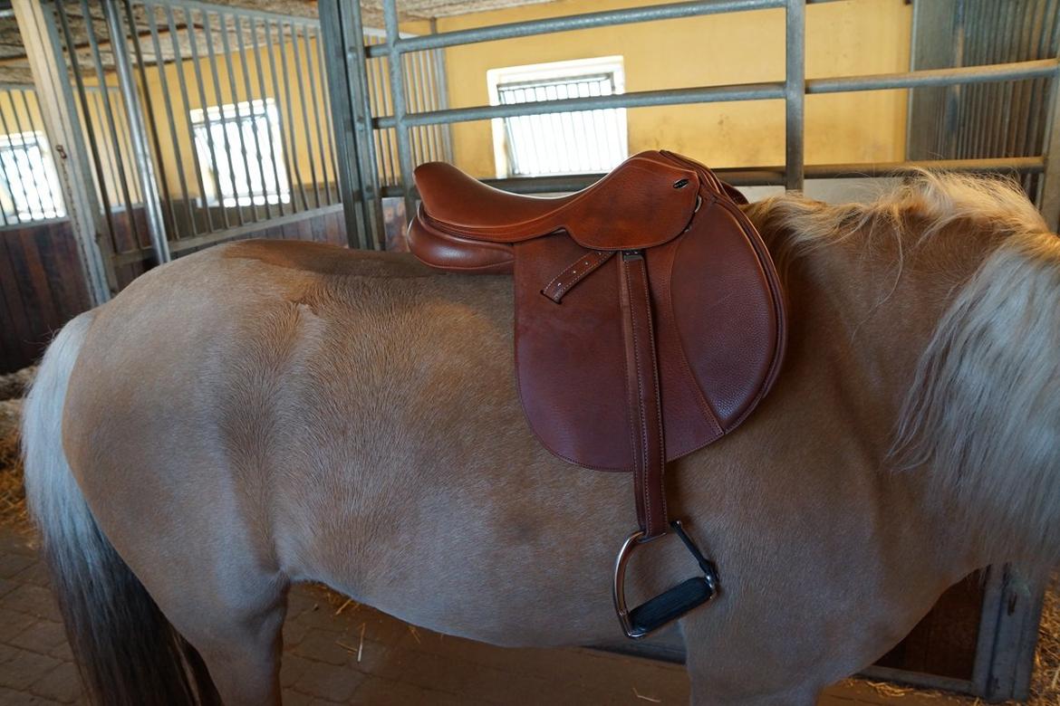 Santa Cruz springsadel billede 5