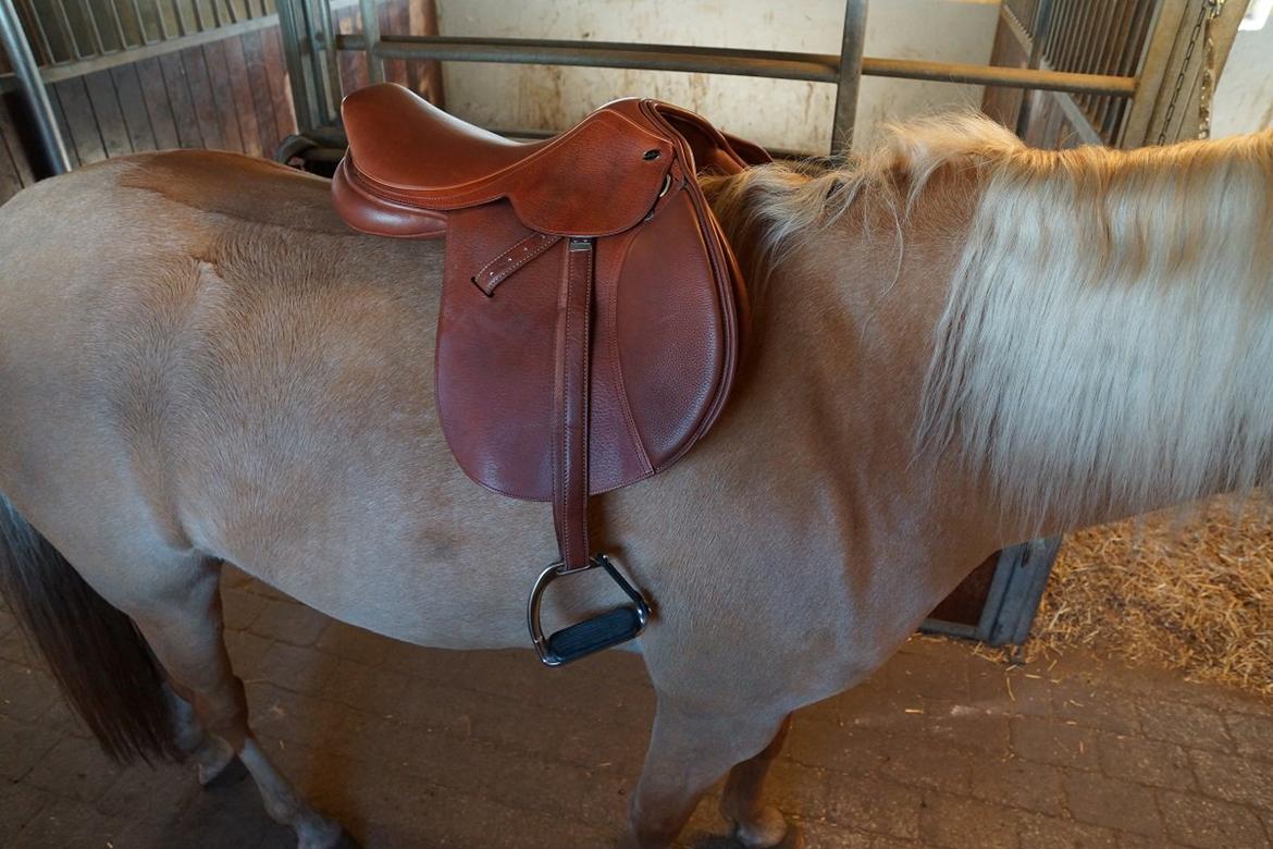 Santa Cruz springsadel billede 6