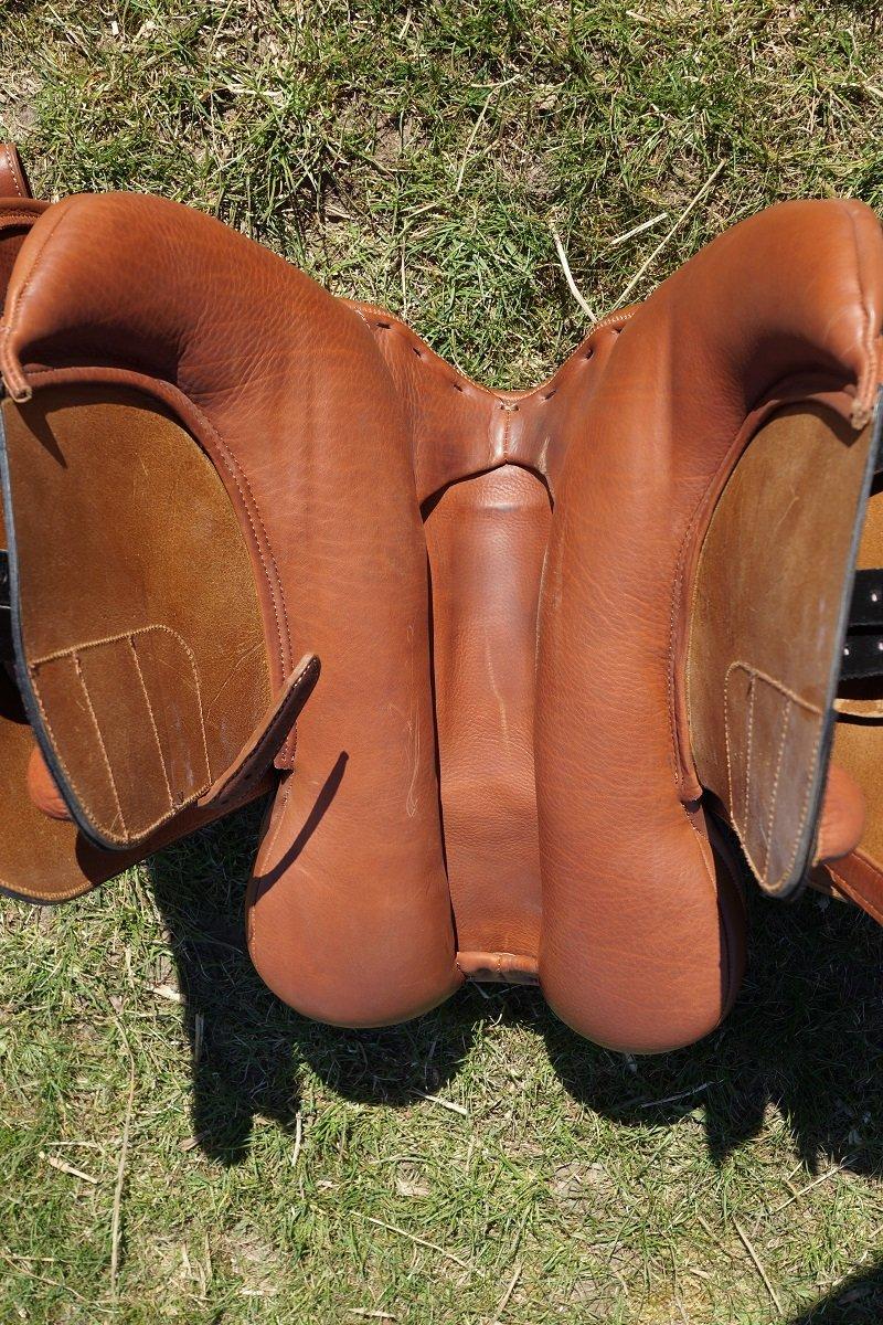 Santa Cruz springsadel - OBS. Den har kun lyse streger, fordi den lige har hængt på et træ hegn billede 11