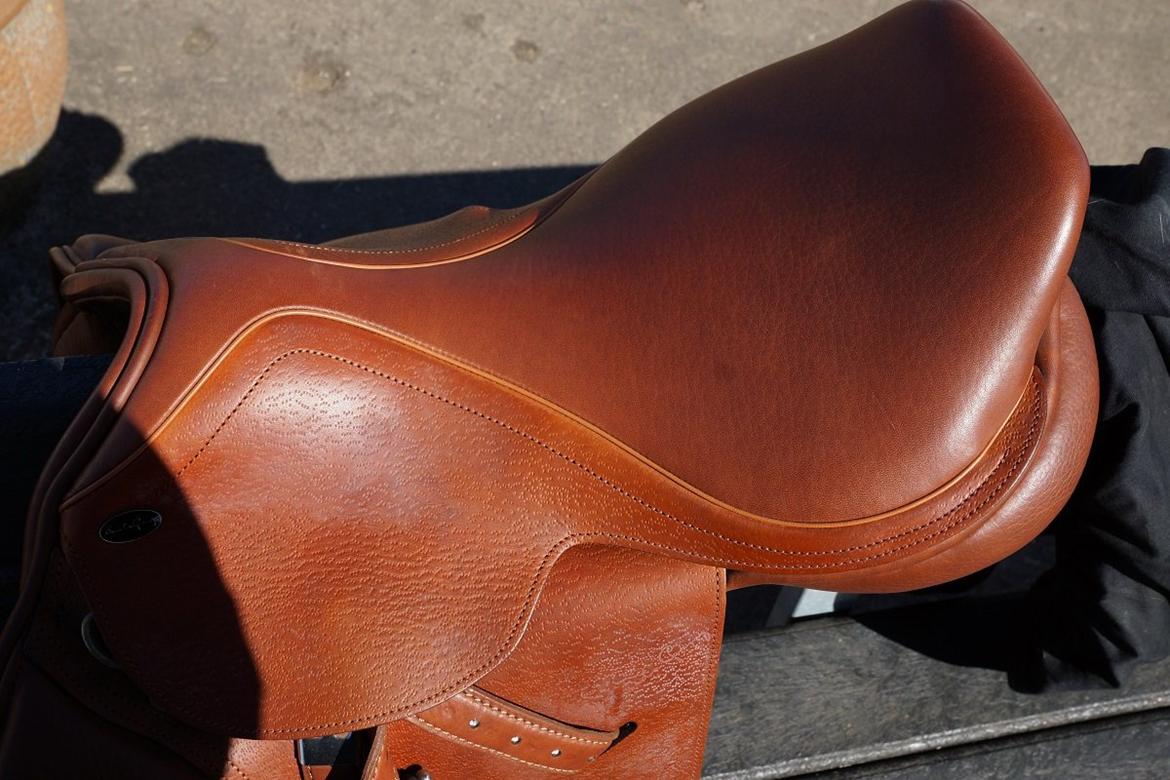 Santa Cruz springsadel billede 12