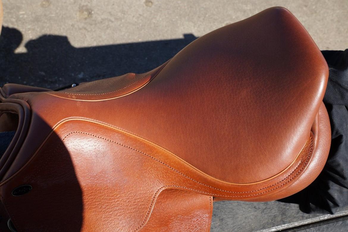 Santa Cruz springsadel billede 13