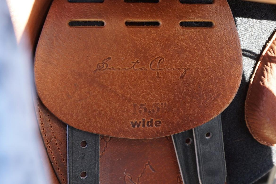 Santa Cruz springsadel billede 14