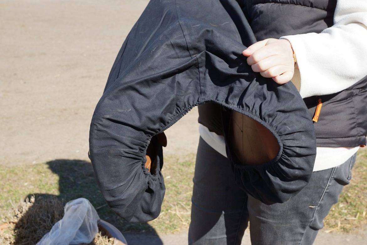 Santa Cruz springsadel billede 18