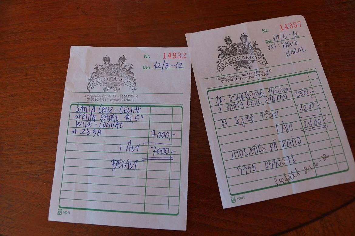 Santa Cruz springsadel billede 19