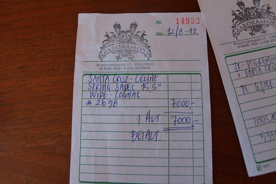 Santa Cruz springsadel billede 20
