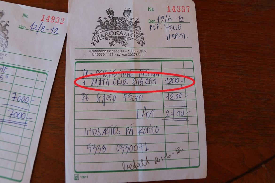 Santa Cruz springsadel billede 21