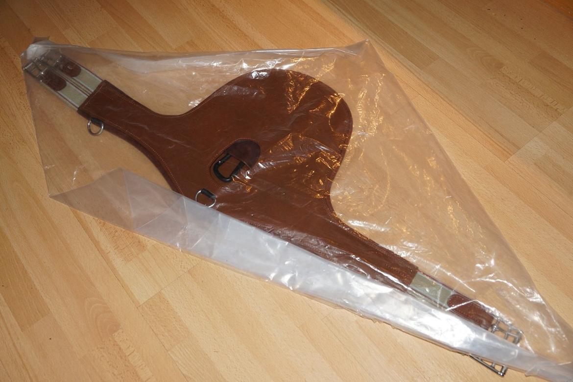 Santa Cruz springsadel billede 22