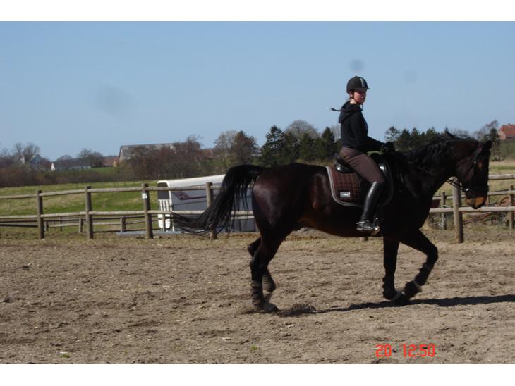 {{currentPhoto.altText}} billede {{currentPhoto.number}}