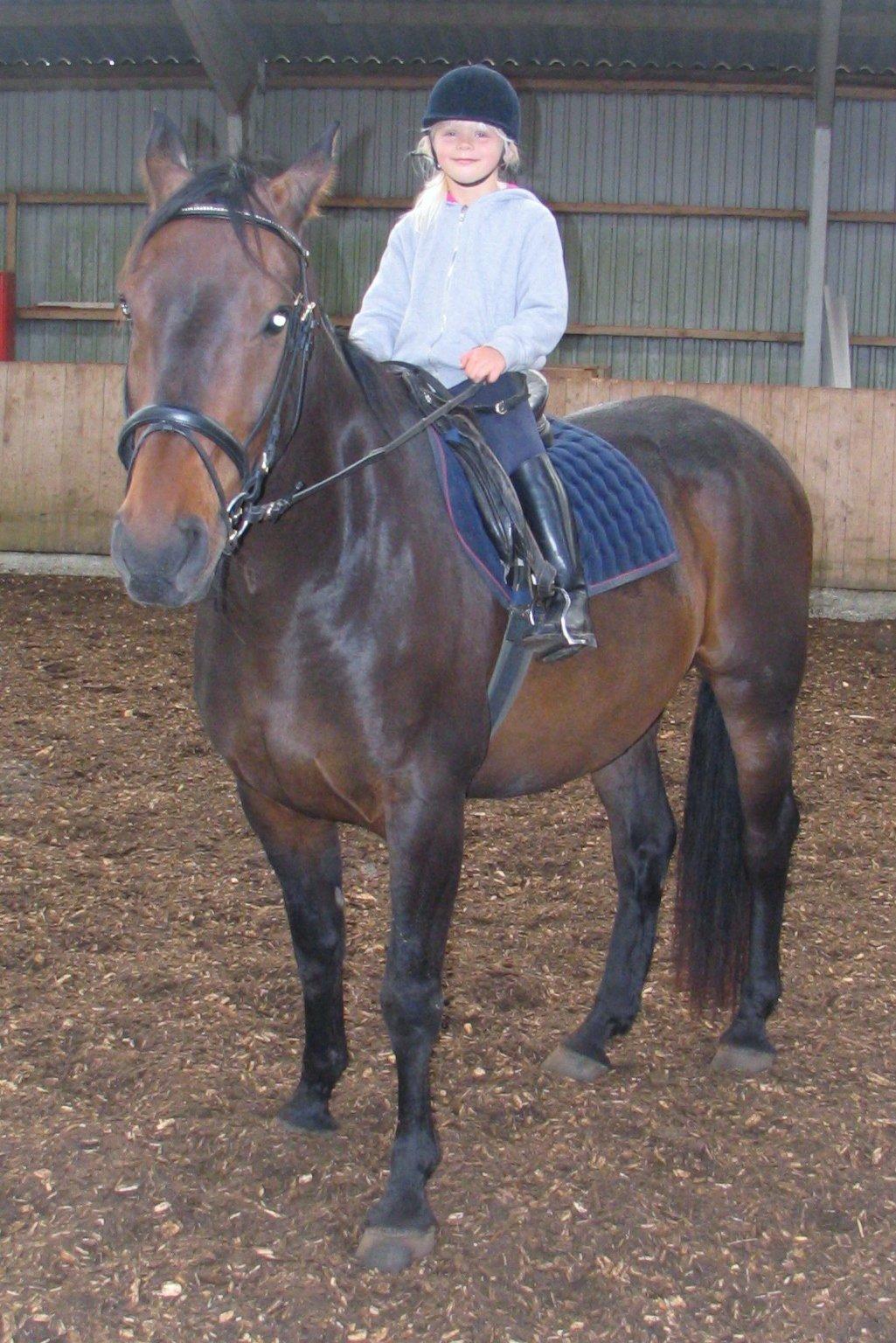 Gamle billeder :) - Rideskolen, mig og Fandango billede 5