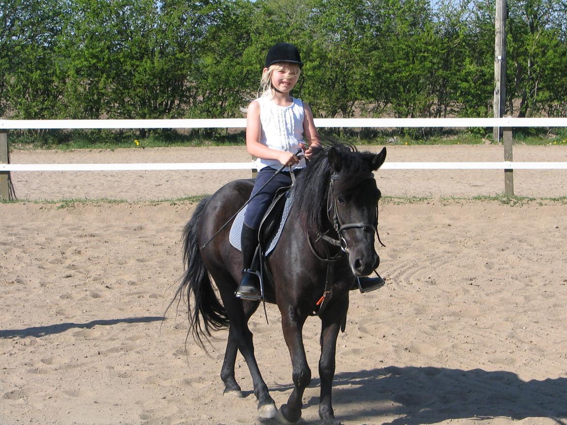 Gamle billeder :) - Min gamle part Maxi (Rideskole pony) billede 14