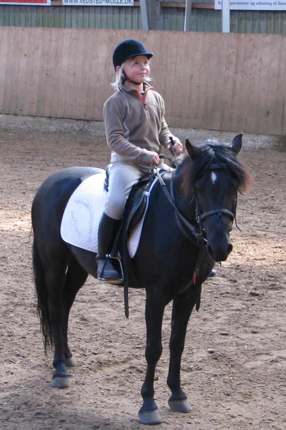 Gamle billeder :) - Mit og Maxis første stævne.
her i en LC1  :) billede 17