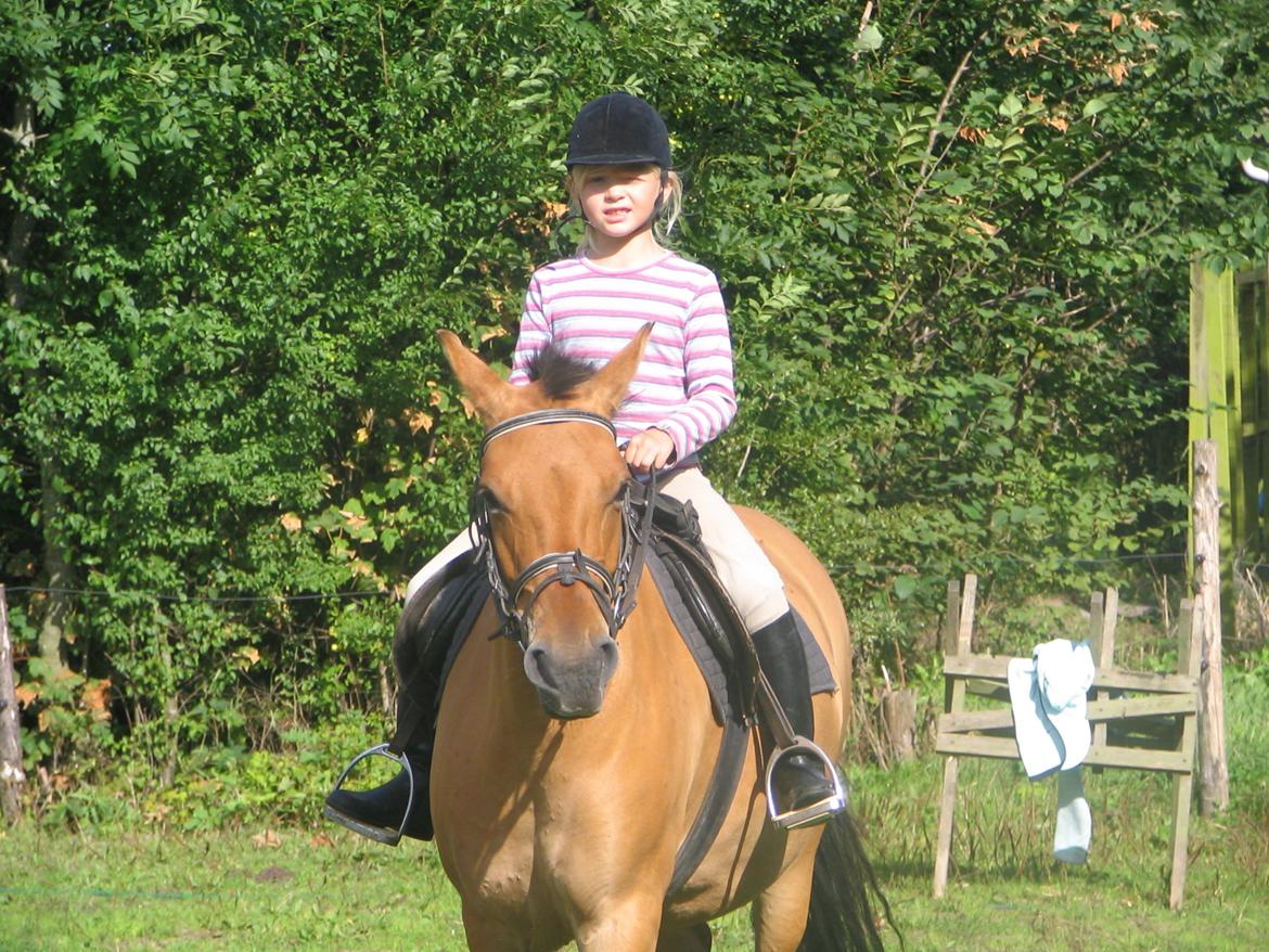 Gamle billeder :) - Mig og Bambi 2006 billede 10