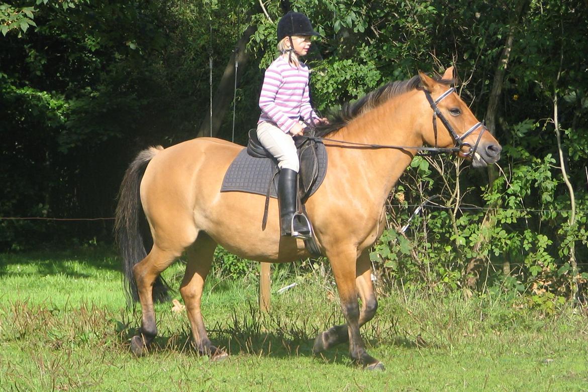 Gamle billeder :) - Igen billede 11