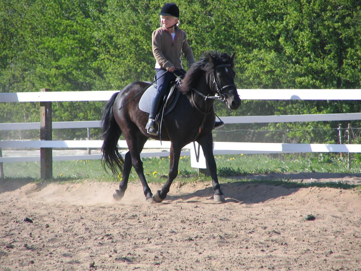 Gamle billeder :) - Igen billede 15