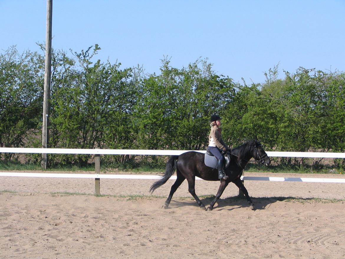 Gamle billeder :) - Og igen billede 16