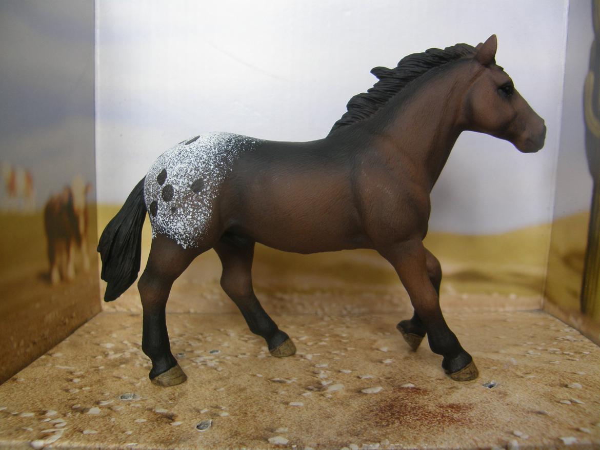 Mine Schleich Dyr - Navn: Tony Race: Appaloosa Køn: Hingst Alder: 15 år billede 148