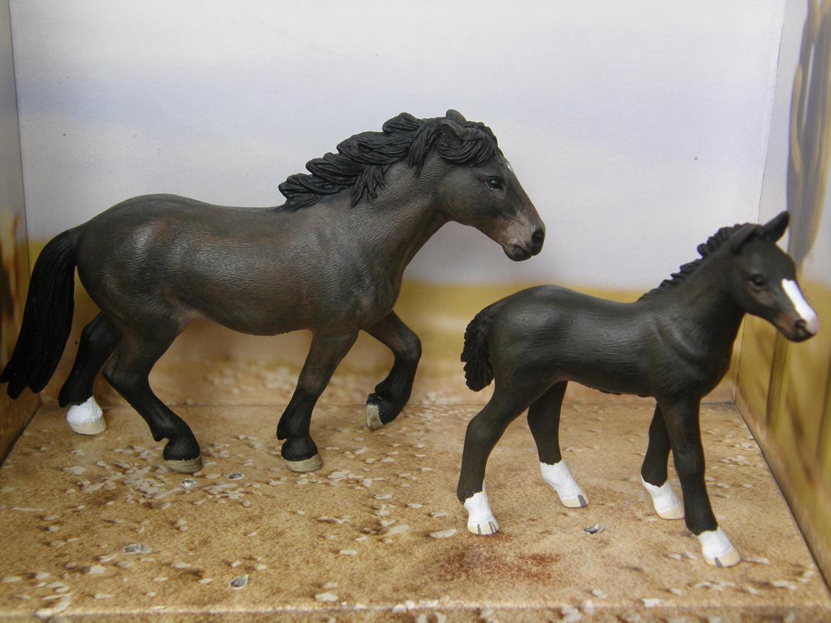 Mine Schleich Dyr - Modelmalet. Navn: Sia. Race: Blanding. Køn: Hoppe. Alder: 8 år. Navn: Hindbærgårdens Star Prentiss. Race: Blanding. Køn: Hoppe. Alder: 4 mdr. Stamtavle: Mor: Shia. Far: Ukendt. billede 155