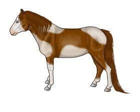 Lidt forskellige heste tegninger. - Tegnet d. 23/04/13 billede 3