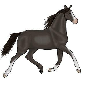 Lidt forskellige heste tegninger. - Tegnet d. 23/04/13 billede 4