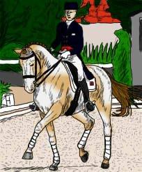 Lidt forskellige heste tegninger. billede 6