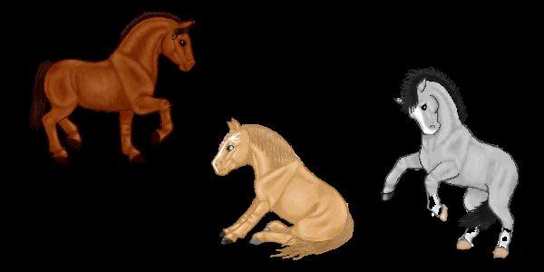 Lidt forskellige heste tegninger. - Lidt heste som er tegnet i Net-hesten.dk skabelon billede 8