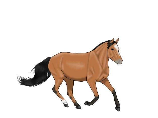 Lidt forskellige heste tegninger. - Til best friends forever<3<3 i love you
Amigo Ferrari billede 2