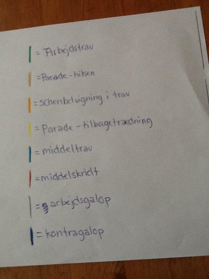 La1 b-bane (pony) billede 10