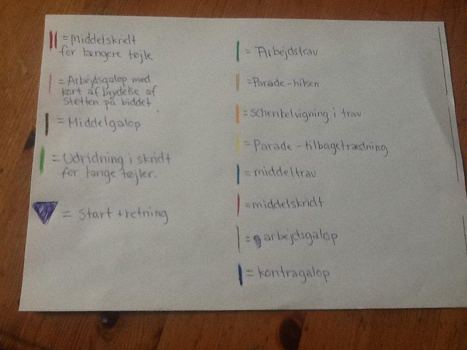 La1 b-bane (pony) billede 9