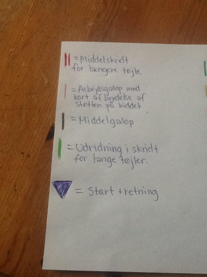 La1 b-bane (pony) billede 8