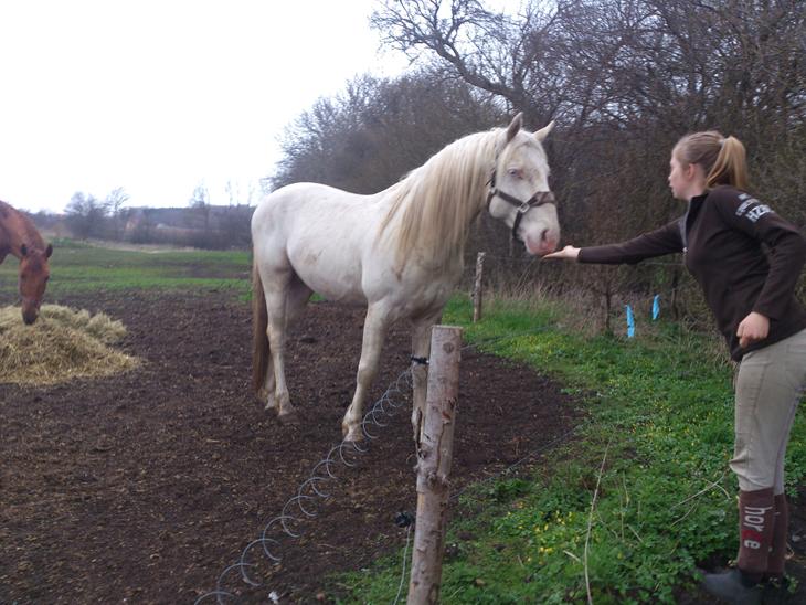 {{currentPhoto.altText}} billede {{currentPhoto.number}}