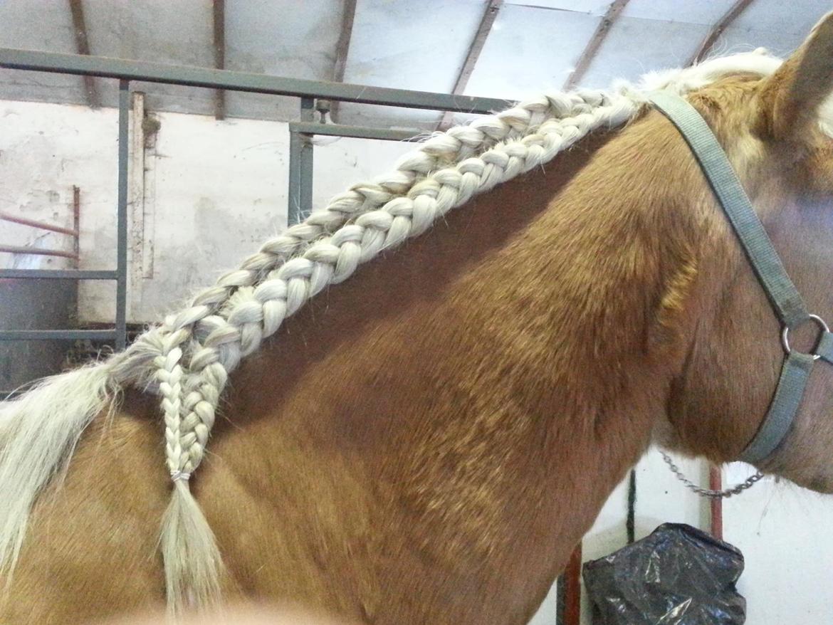 Fletninger - Fransk fletning øverst, Spansk fletning nederst billede 1