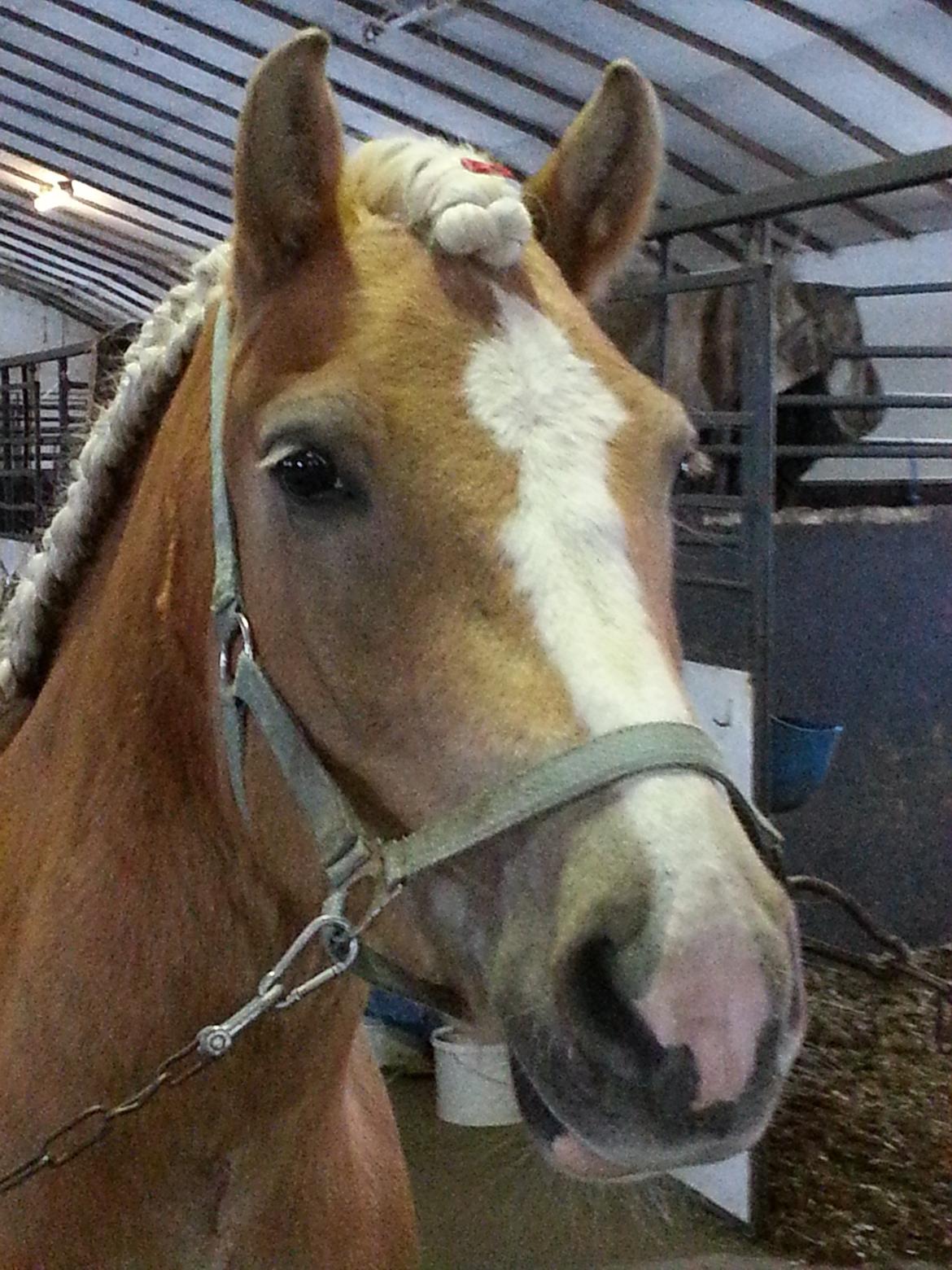 Fletninger - Rosenknup i pandelok, fransk flettet billede 2