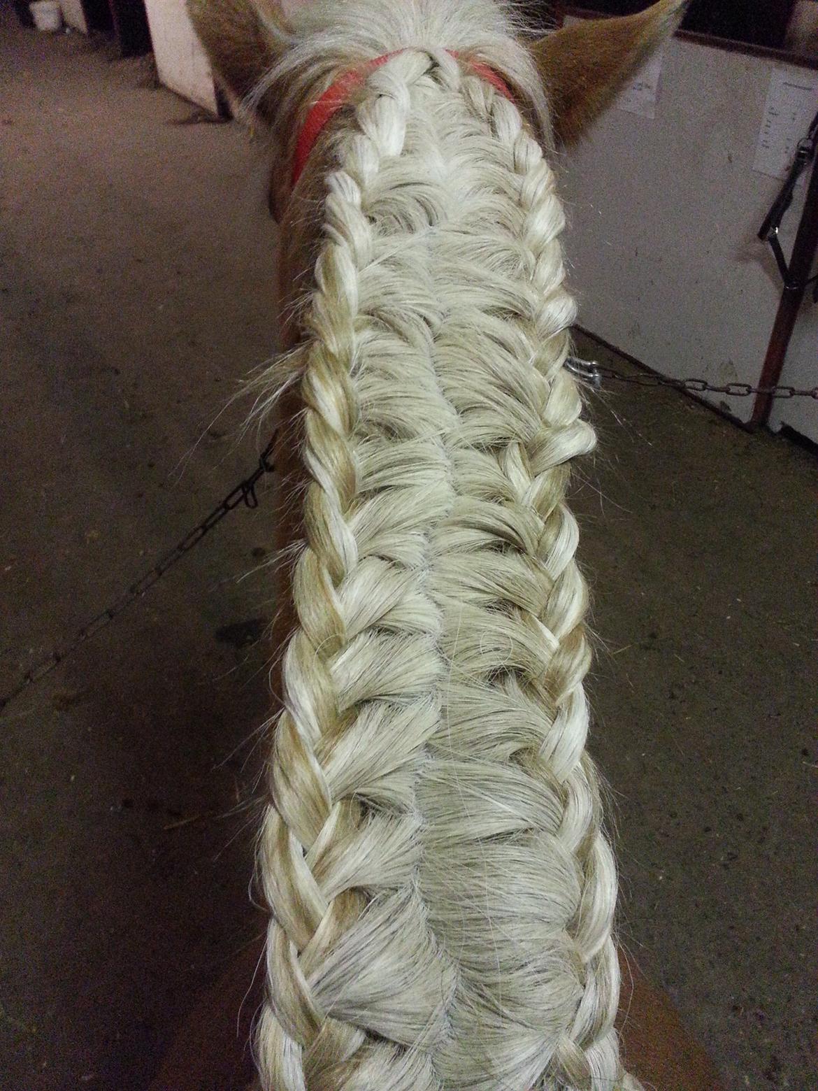 Fletninger - 2xFransk fletning, een på hver side af kammen billede 3