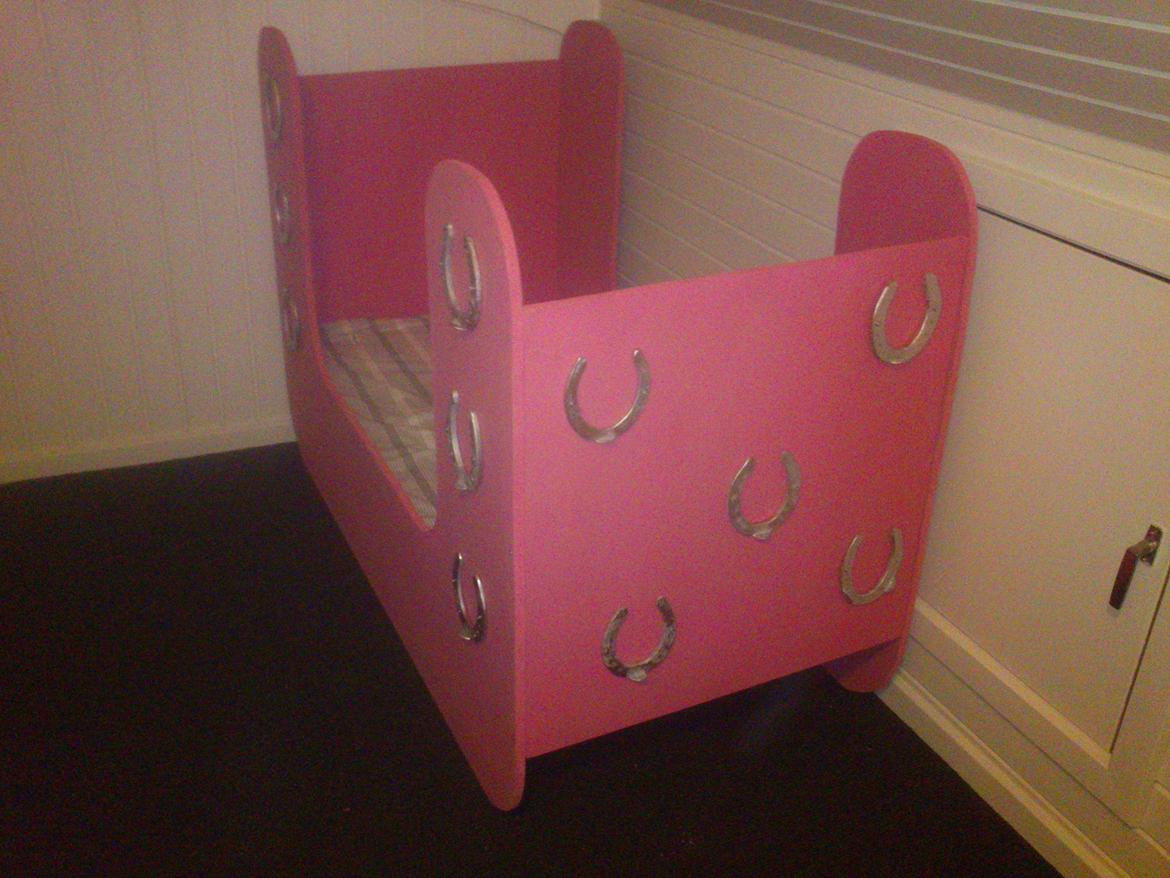 Haley's fødselsdags gave. til en rigtig hestepige billede 9