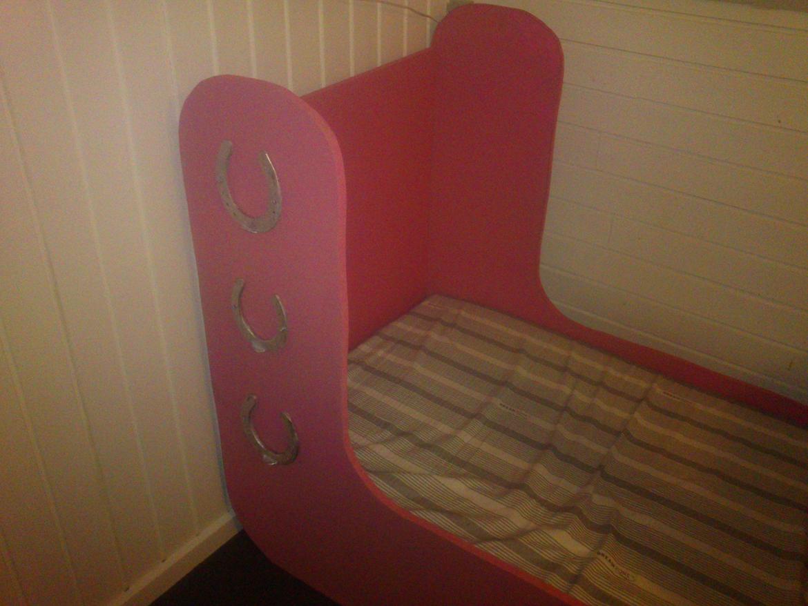 Haley's fødselsdags gave. til en rigtig hestepige billede 8