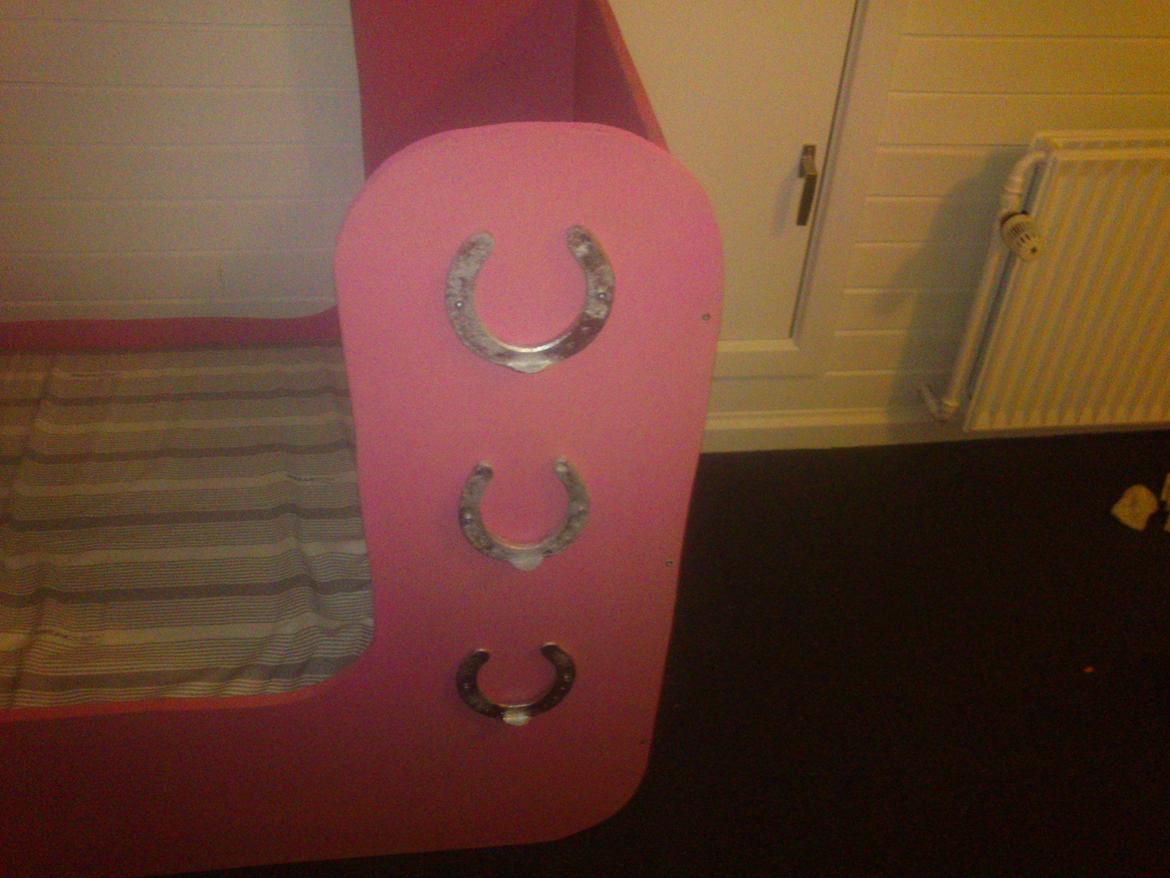 Haley's fødselsdags gave. til en rigtig hestepige billede 7