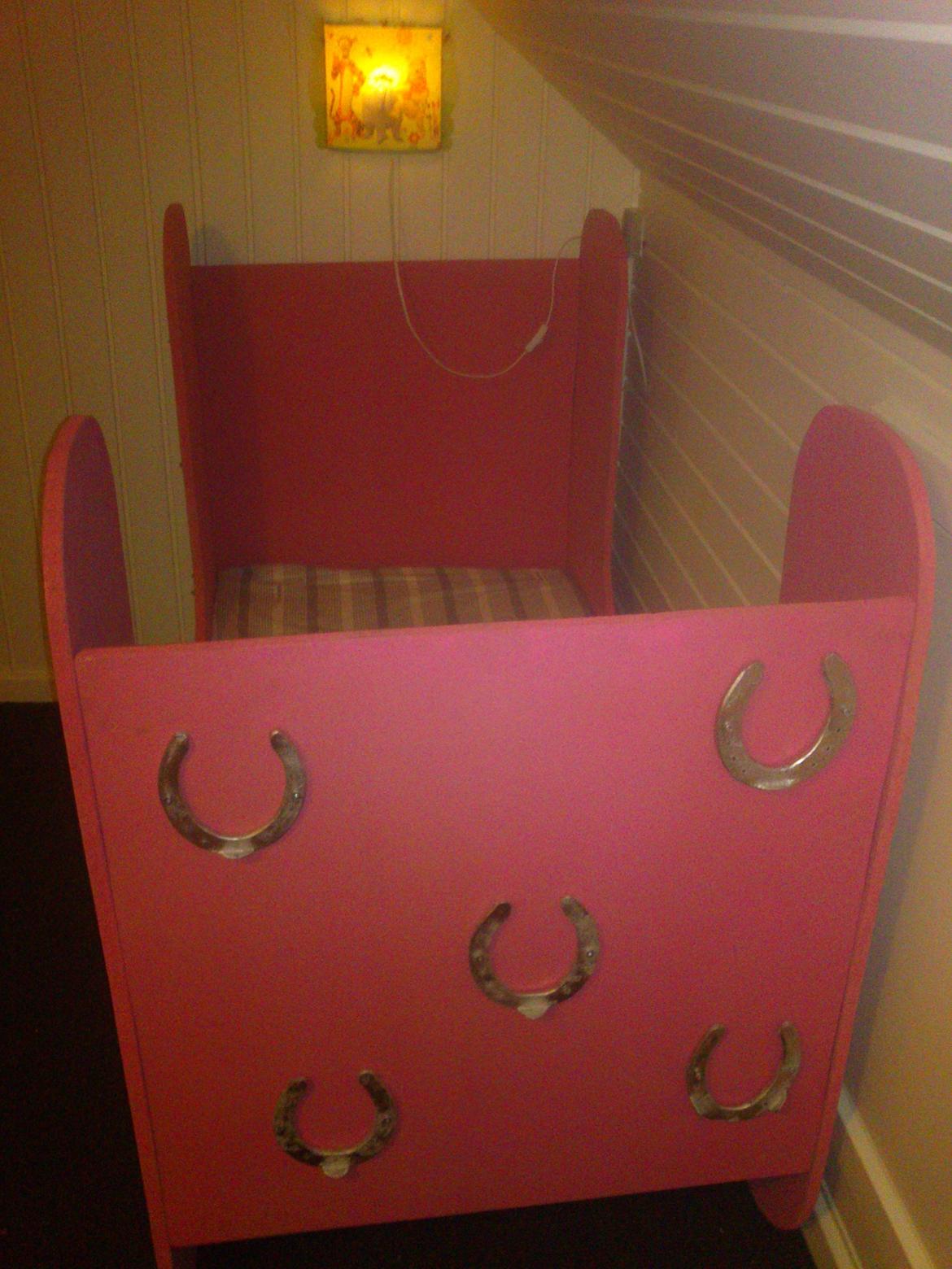 Haley's fødselsdags gave. til en rigtig hestepige billede 6