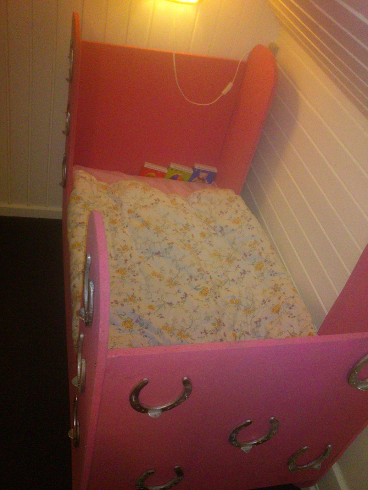 Haley's fødselsdags gave. til en rigtig hestepige billede 5