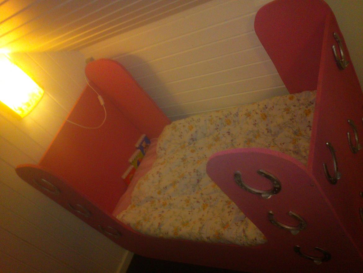 Haley's fødselsdags gave. til en rigtig hestepige billede 4