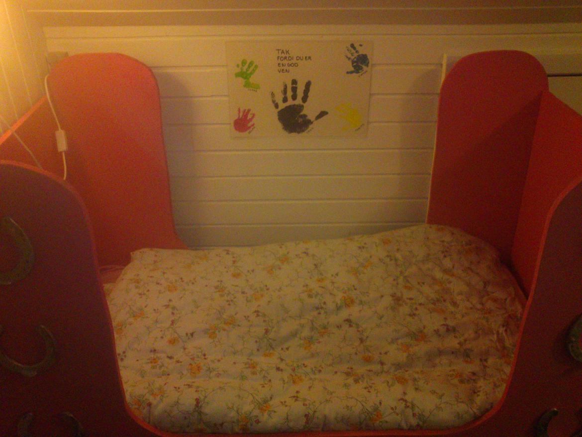 Haley's fødselsdags gave. til en rigtig hestepige billede 3