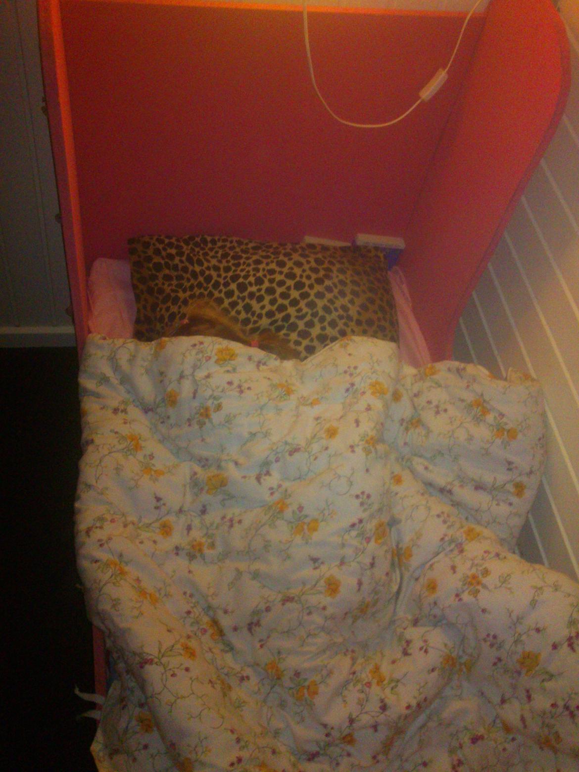 Haley's fødselsdags gave. til en rigtig hestepige billede 2