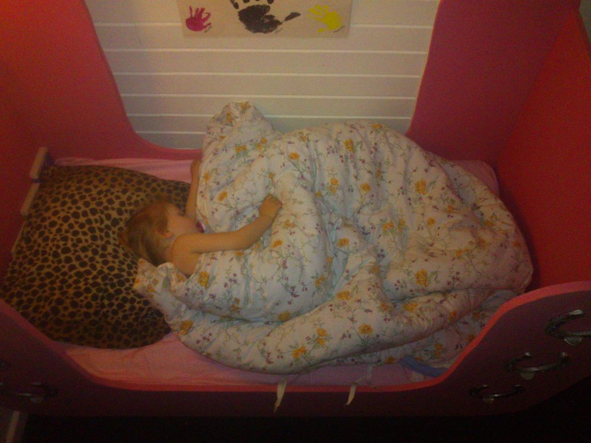 Haley's fødselsdags gave. til en rigtig hestepige billede 1