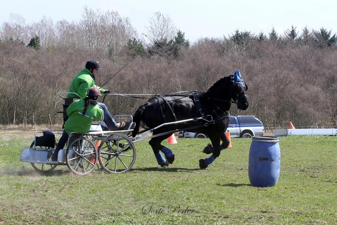 Opvisning på børneinstitutionen Midtgård i Esbjerg. billede 1