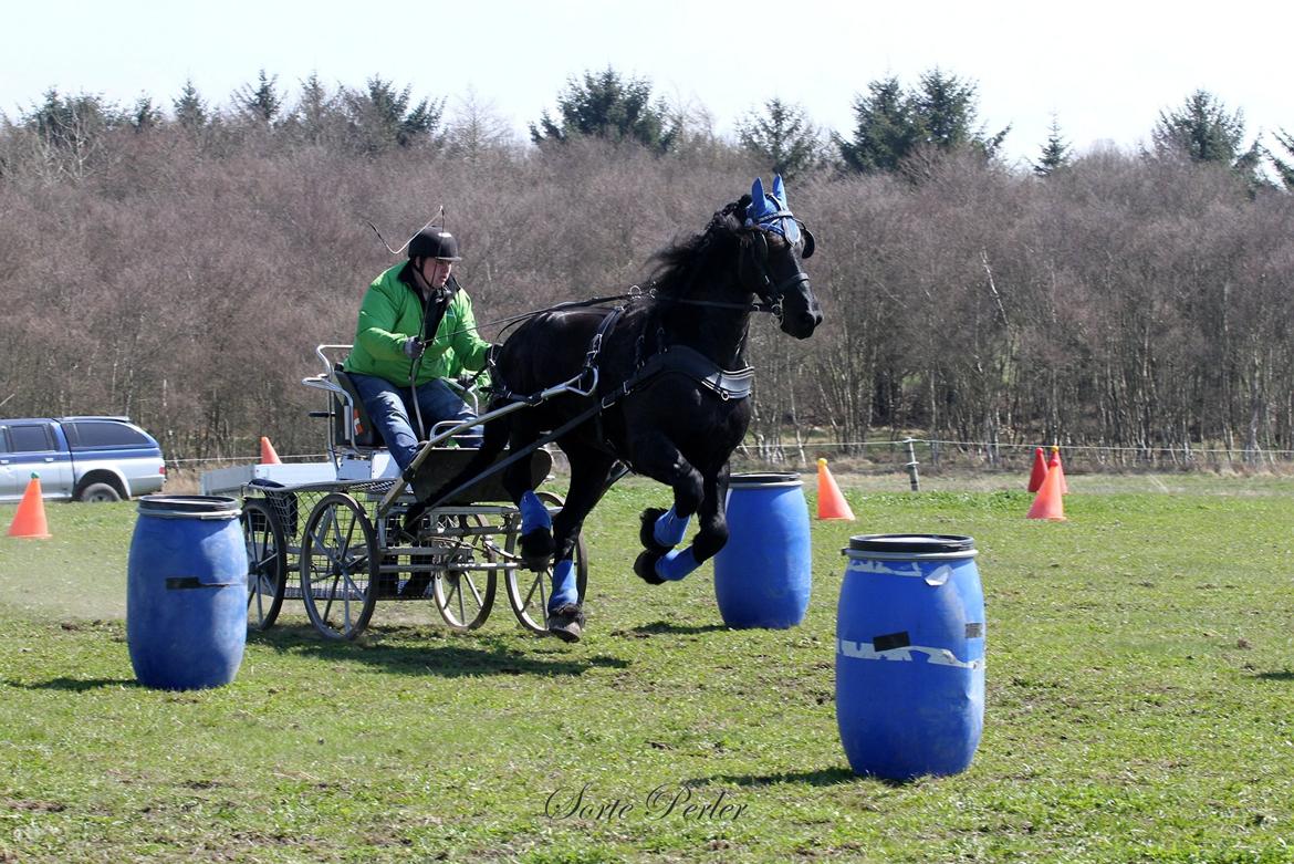Opvisning på børneinstitutionen Midtgård i Esbjerg. billede 2