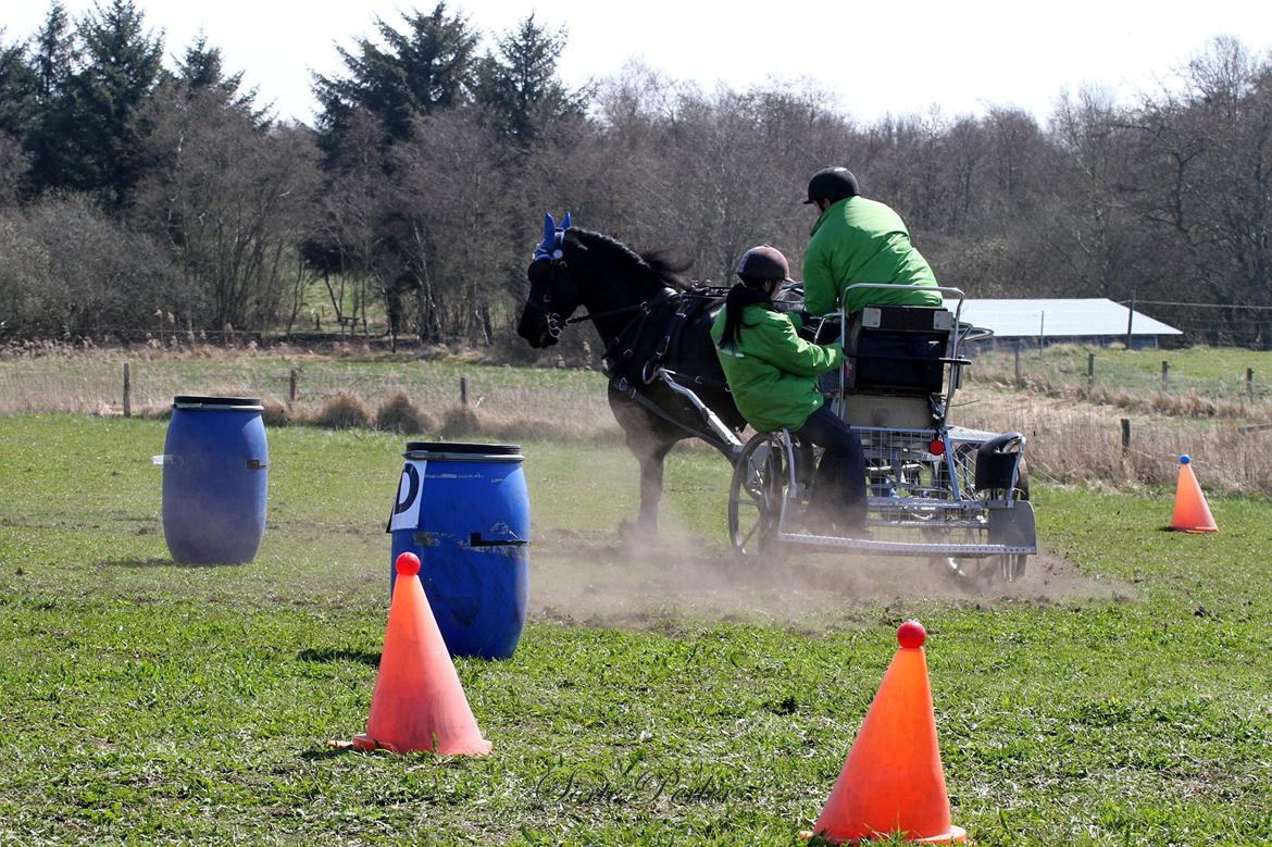 Opvisning på børneinstitutionen Midtgård i Esbjerg. billede 4