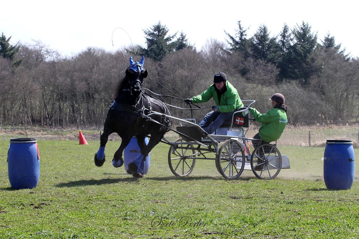 Opvisning på børneinstitutionen Midtgård i Esbjerg. billede 5