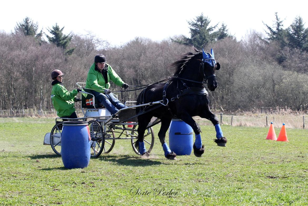 Opvisning på børneinstitutionen Midtgård i Esbjerg. billede 6