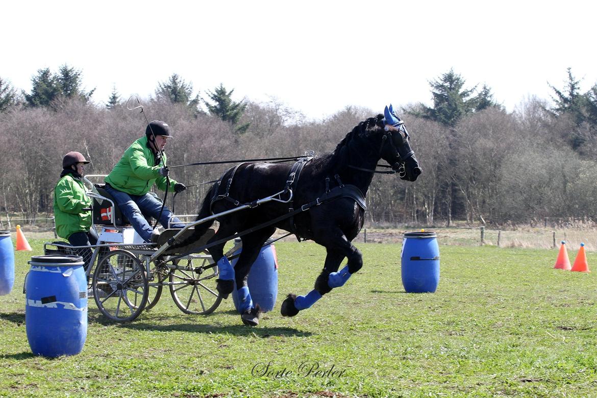 Opvisning på børneinstitutionen Midtgård i Esbjerg. billede 7