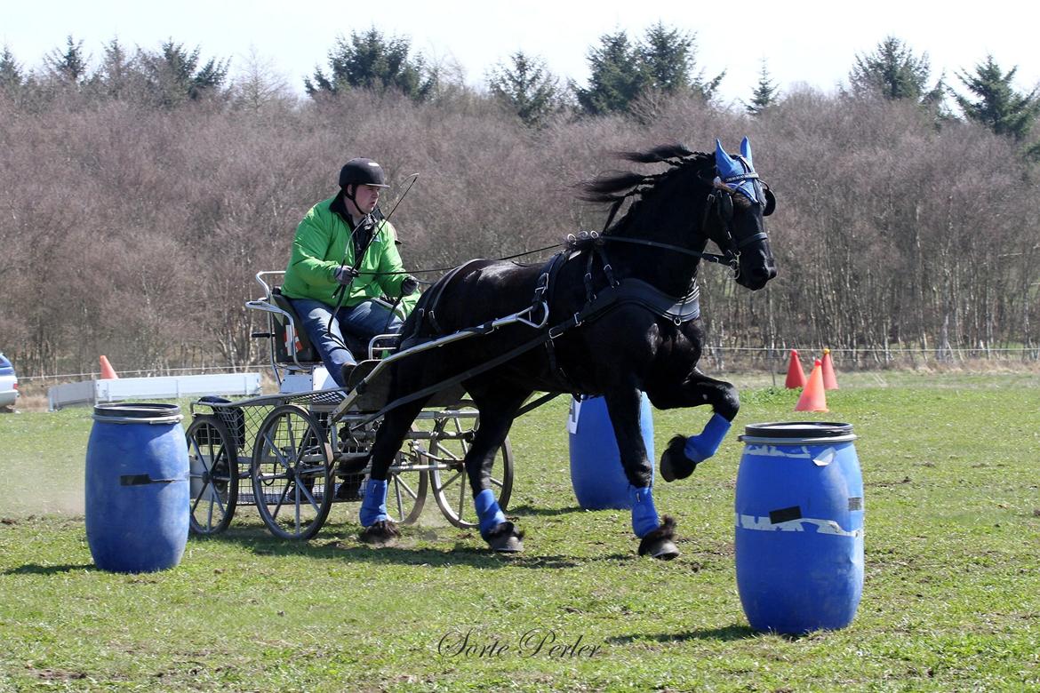 Opvisning på børneinstitutionen Midtgård i Esbjerg. billede 8