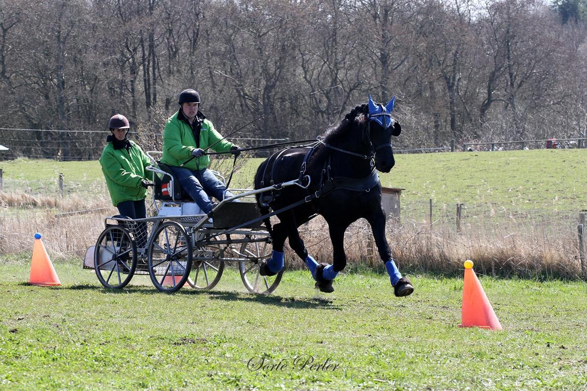 Opvisning på børneinstitutionen Midtgård i Esbjerg. billede 9